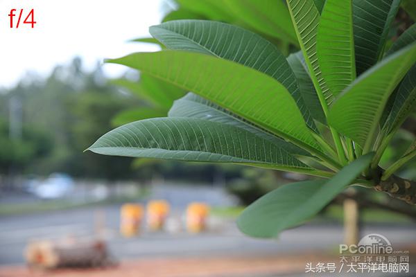 腾龙SP 24-70/2.8 G2评测：更好看更实用了！