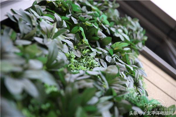 腾龙SP 24-70/2.8 G2评测：更好看更实用了！