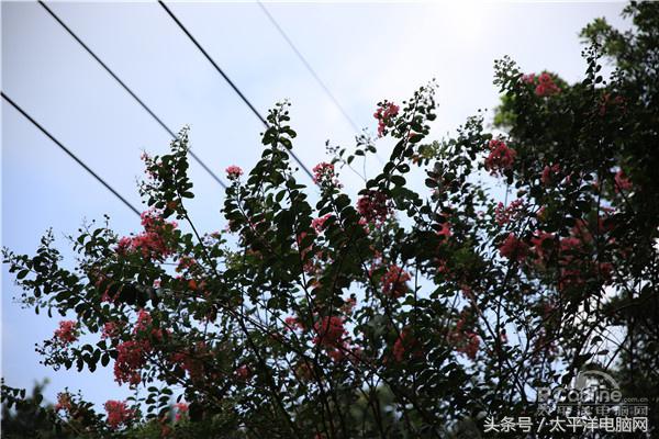 腾龙SP 24-70/2.8 G2评测：更好看更实用了！