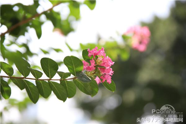 腾龙SP 24-70/2.8 G2评测：更好看更实用了！