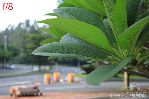 腾龙SP 24-70/2.8 G2评测：更好看更实用了！