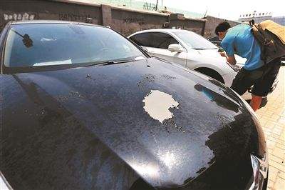 汽车补漆价格大揭秘：同项服务为何差异大？