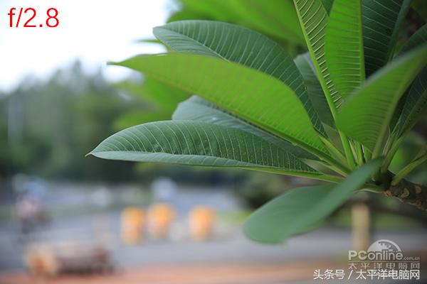 腾龙SP 24-70/2.8 G2评测：更好看更实用了！