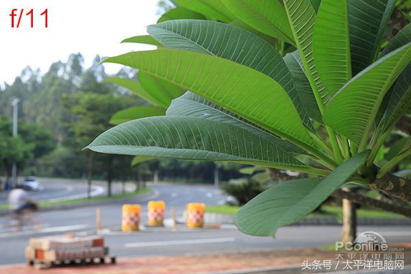腾龙SP 24-70/2.8 G2评测：更好看更实用了！