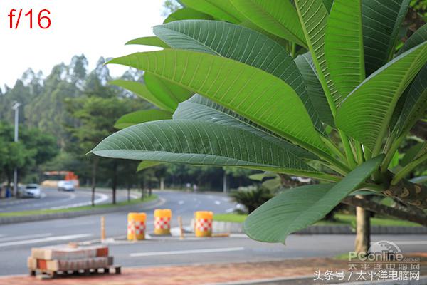 腾龙SP 24-70/2.8 G2评测：更好看更实用了！