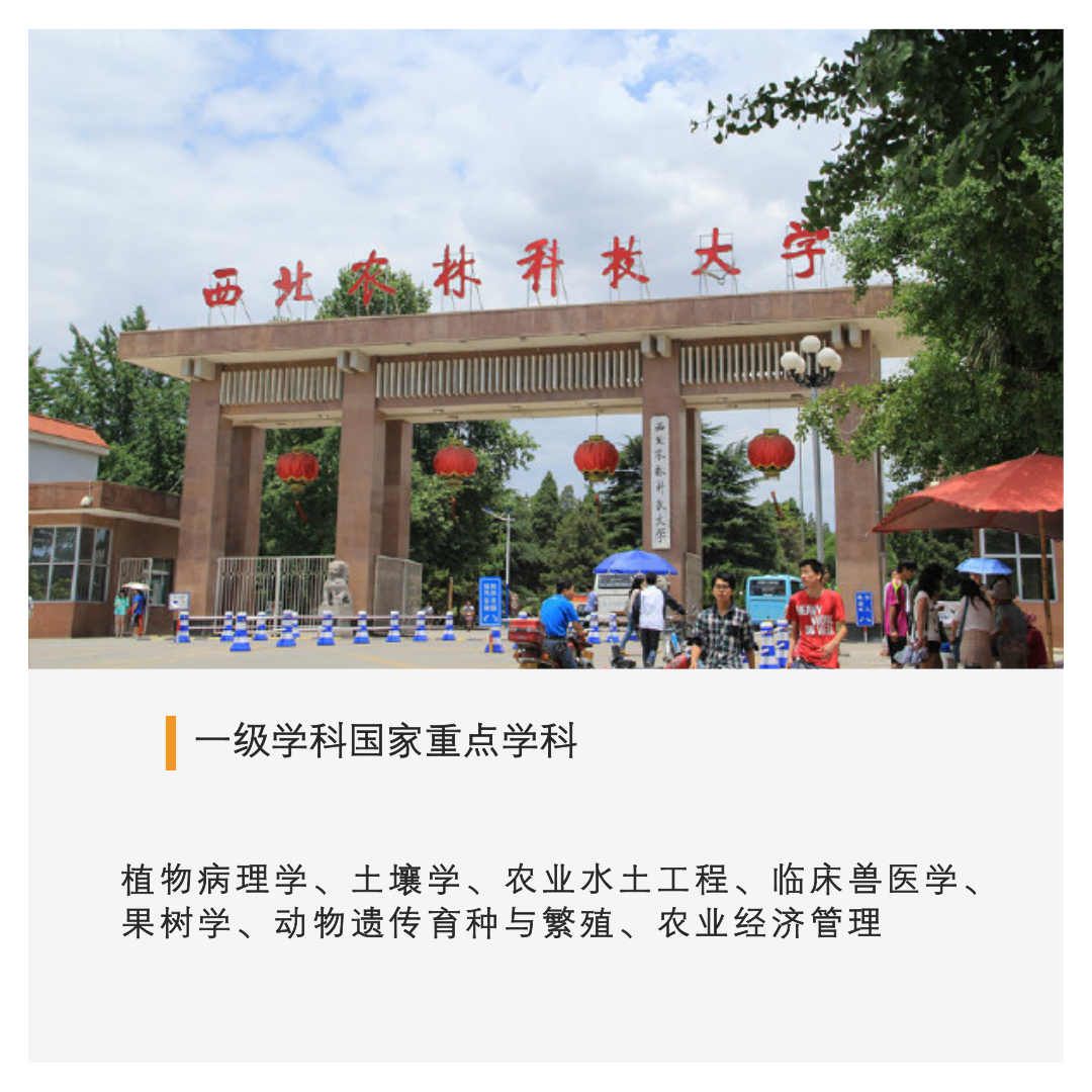 中国顶级大学 32所副部级大学的最强专业布局