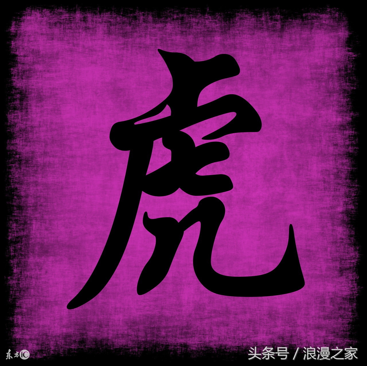 任何年岁的属“虎”人轻松掌握2017年运势，有计划的屹立于天地！