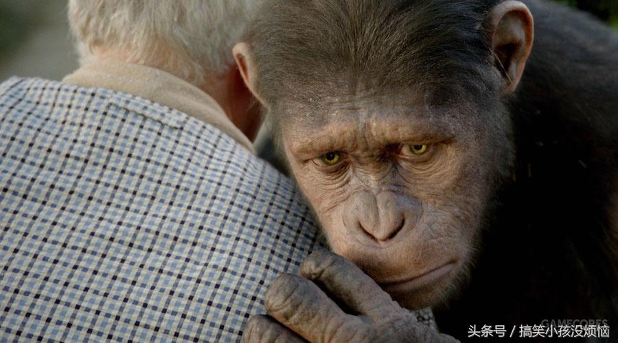 人猿相揖别：《猩球崛起3》与人类将如何灭绝