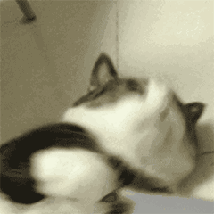 原来南北的会计凭证装订方法居然也不同！