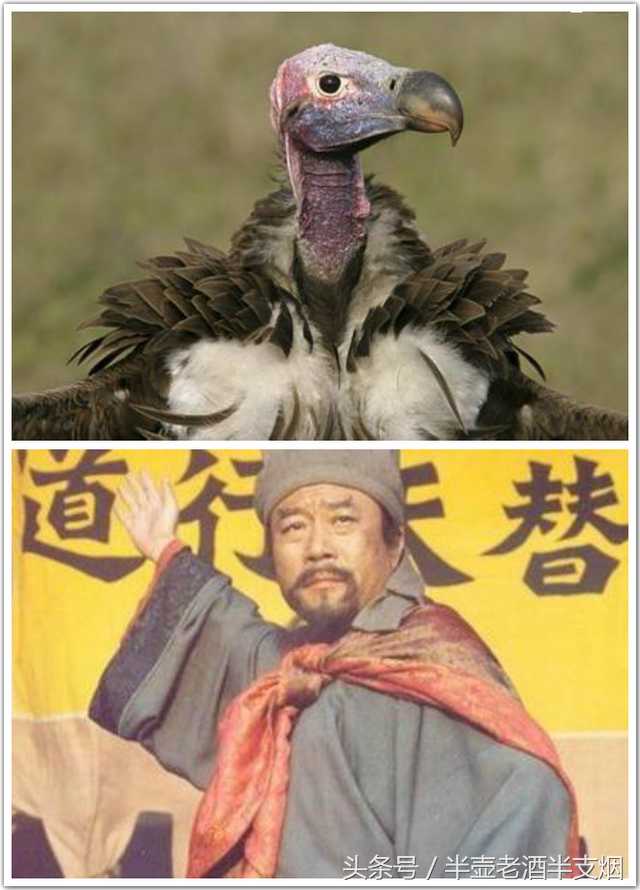 梁山好汉重新起绰号 宋江应该叫秃鹫 那么谁又是平头哥狼獾？