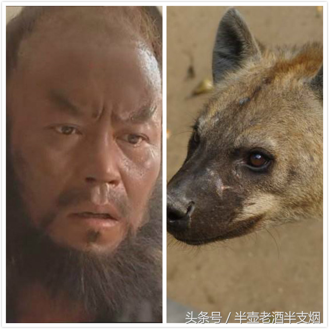 梁山好汉重新起绰号 宋江应该叫秃鹫 那么谁又是平头哥狼獾？