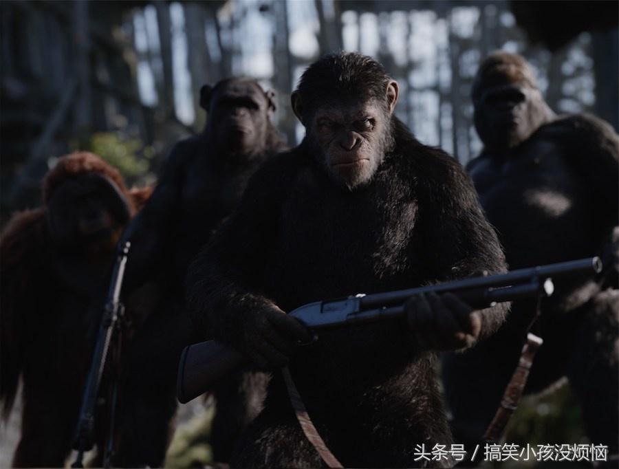 人猿相揖别：《猩球崛起3》与人类将如何灭绝