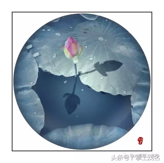 手机摄影家园第31期《影子》主题