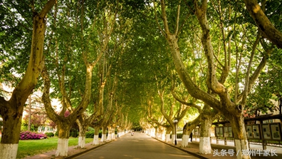 每天一所高校：河海大学