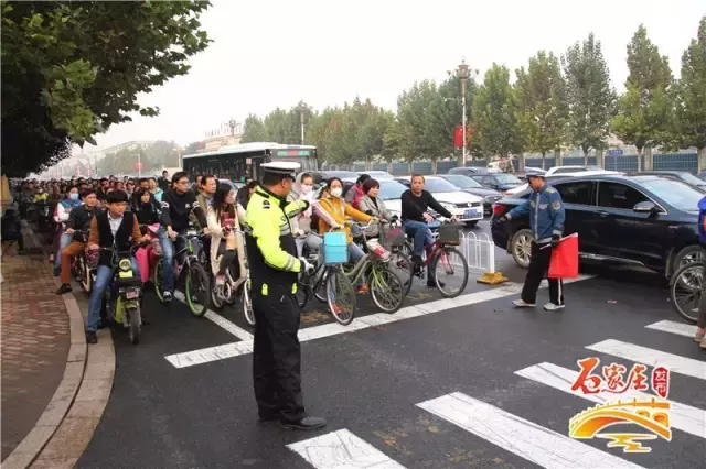 石家庄交通网,石家庄交通安全网
