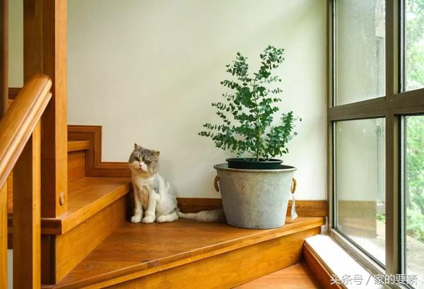 成都婚纱设计师的185㎡，美的像来自童话