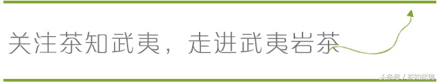 大红袍的价格为何差距这么大？