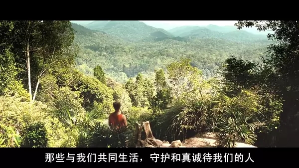 剧情电影篇：《丛林的孩子》——一位生活在原始和现代的女孩