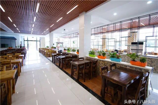 你大学时代的饭堂是不是这样的，师傅来碗粉煮水带走，吃不起了