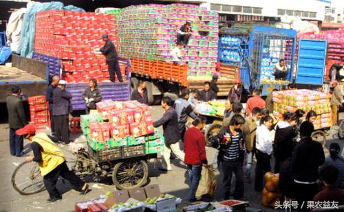 果农产量高不代表效益好，找个靠谱的水果代卖才是宝！