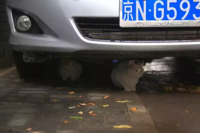 逛了10000次南锣鼓巷，却不知它附近的这3条胡同更好玩！