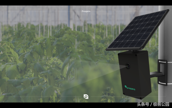 人工智能+农业会是什么样子？聊聊你不知道的农业“黑科技”！