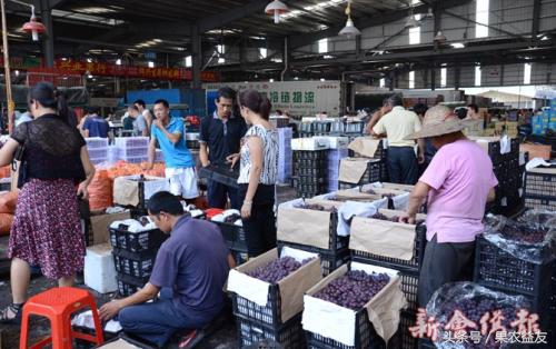 果农产量高不代表效益好，找个靠谱的水果代卖才是宝！