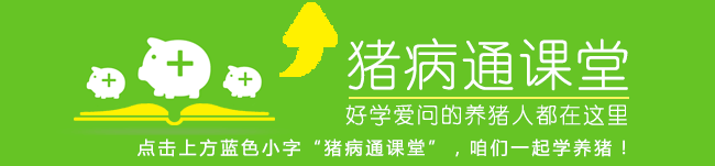 当发生猪弓形虫病时怎样防治？