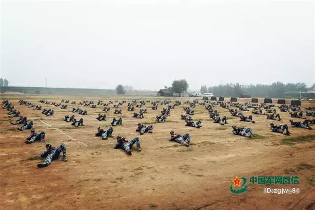 雨中训练表情轻松(新训班长天生骨骼清奇？看了他们的修炼秘籍新兵们秒懂了)