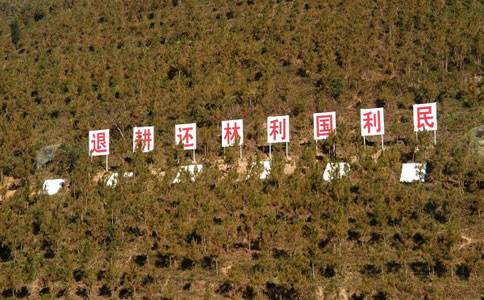 退耕还林地有林权证无法确权 只领每亩1500元补贴 但可延期到70年