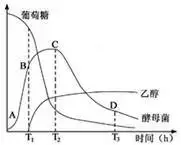 酵母菌是厌氧菌吗（霉菌和酵母菌是厌氧菌吗）-第1张图片-昕阳网