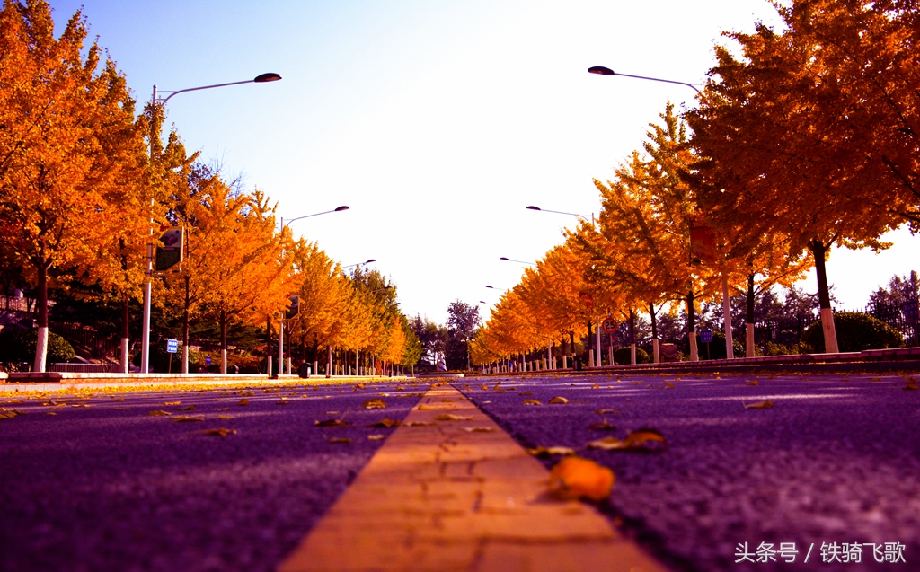 陆军装甲兵学院2018年研究生招生简章