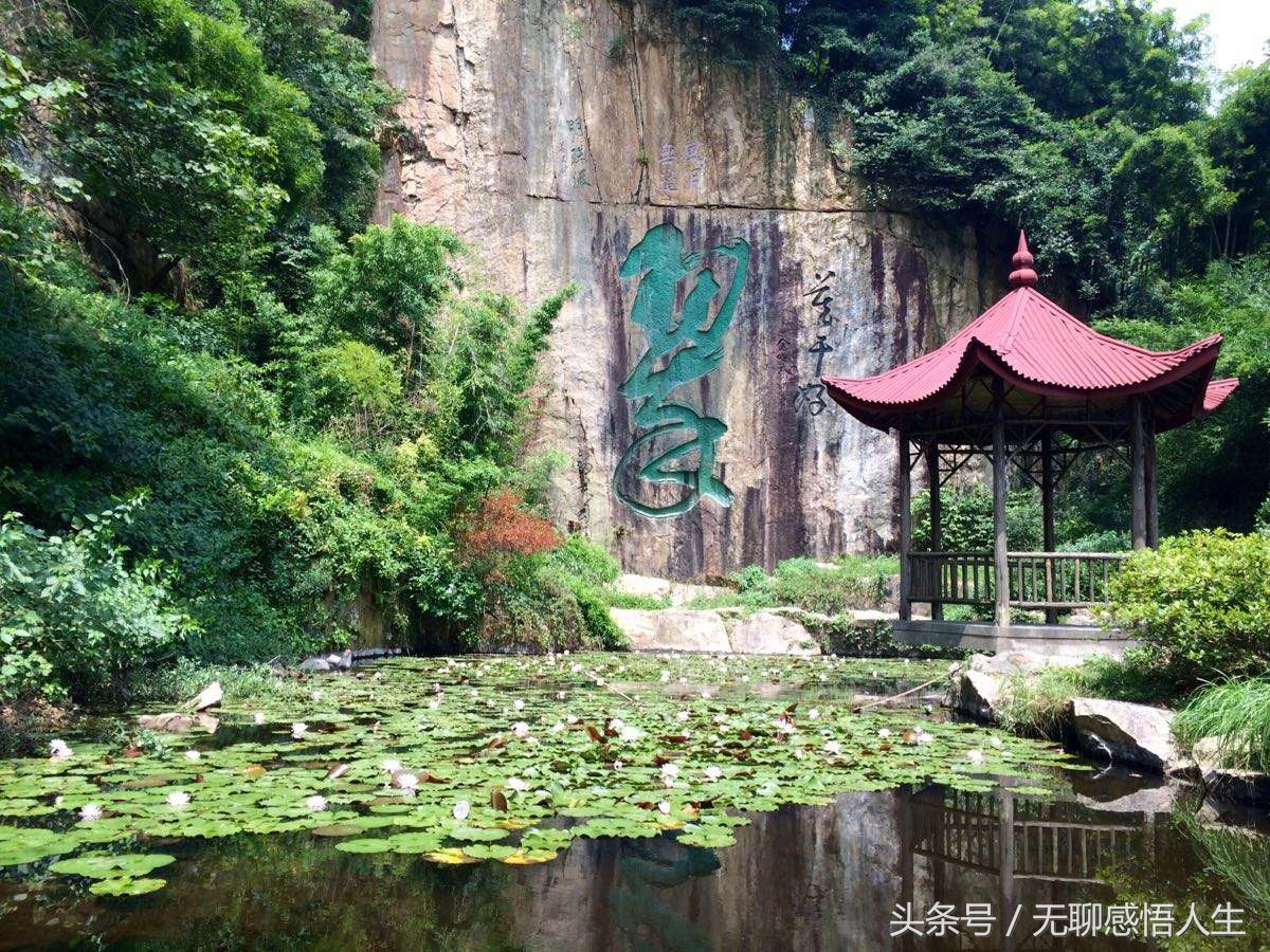 德清是哪个省哪个市的（中国中小城市综合实力百强县）