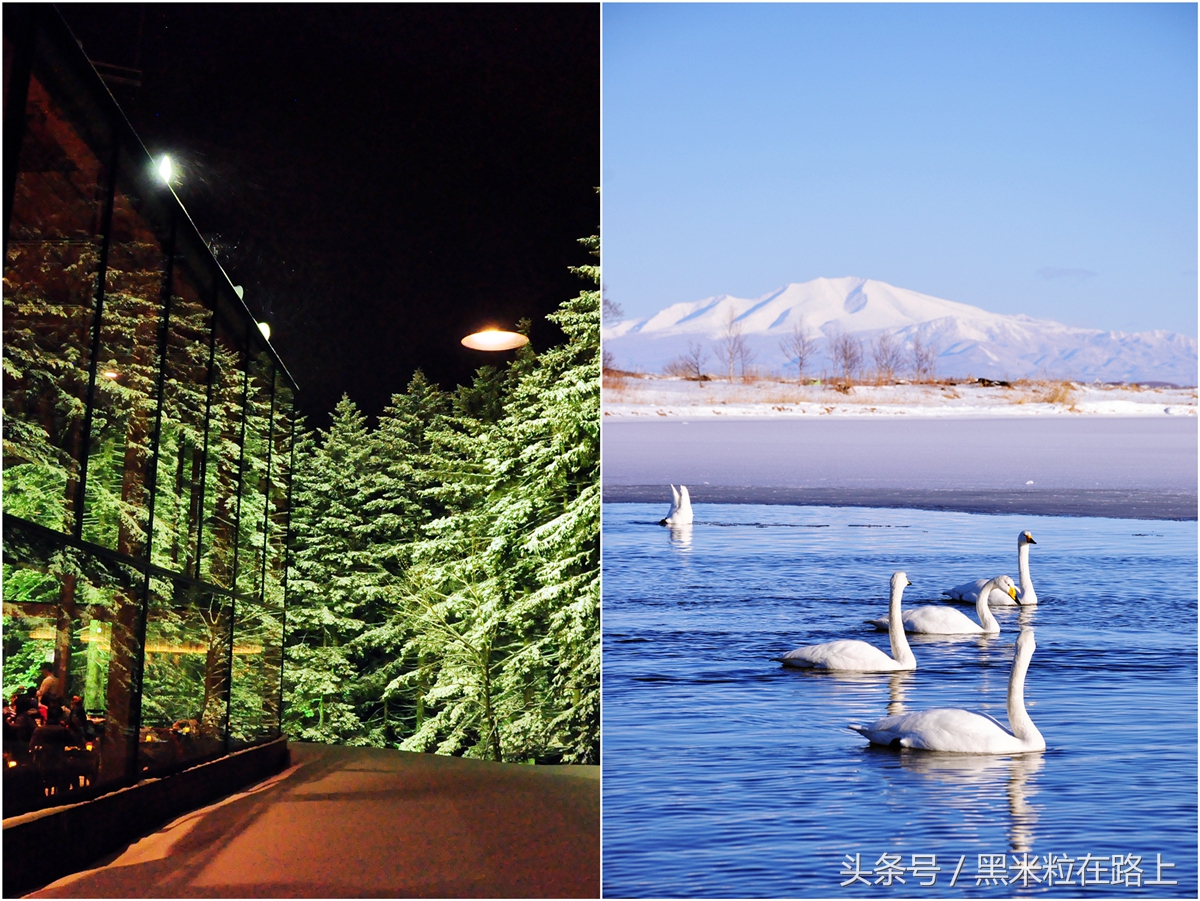 日本旅遊預算七天(國慶長假北海道旅行七天) - 悅聞天下