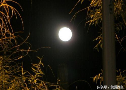 平生不相思 才会相思 便害相思 那些让人刻骨铭心的爱情佳句