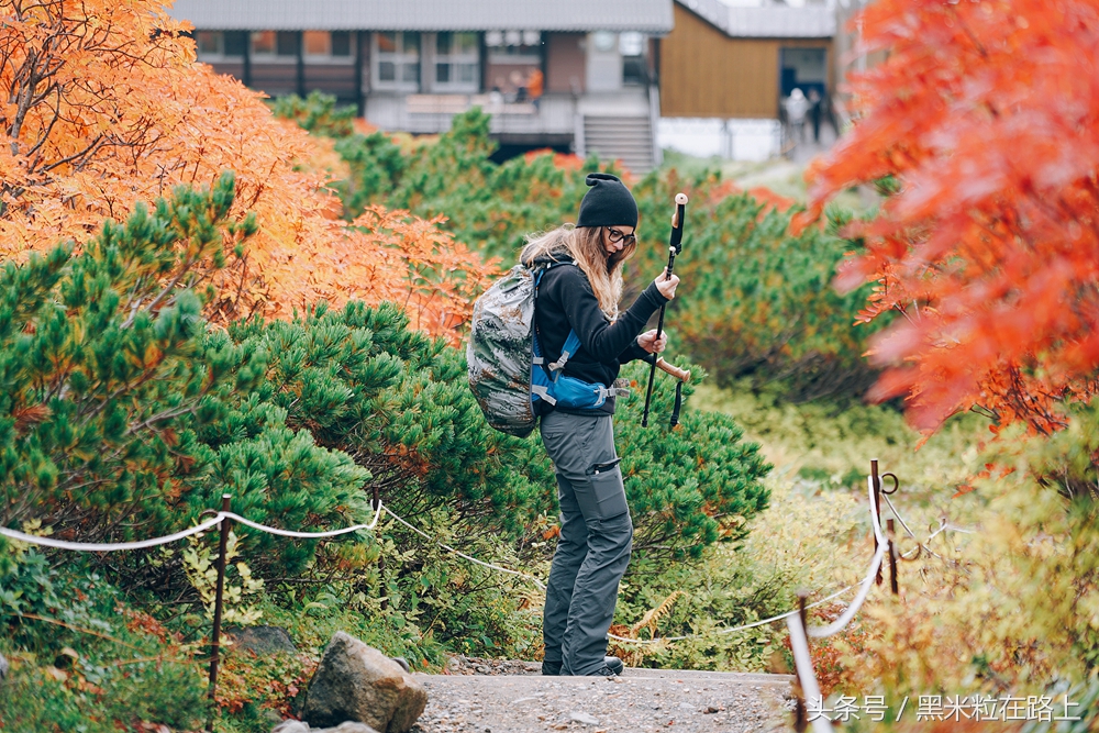 日本旅遊預算七天(國慶長假北海道旅行七天) - 悅聞天下