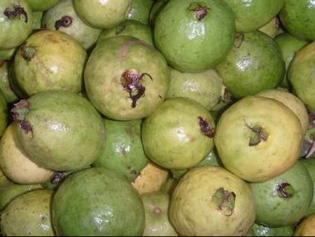 蕃桃果的作用和功效(桃类水果的功效与作用) - 风集网