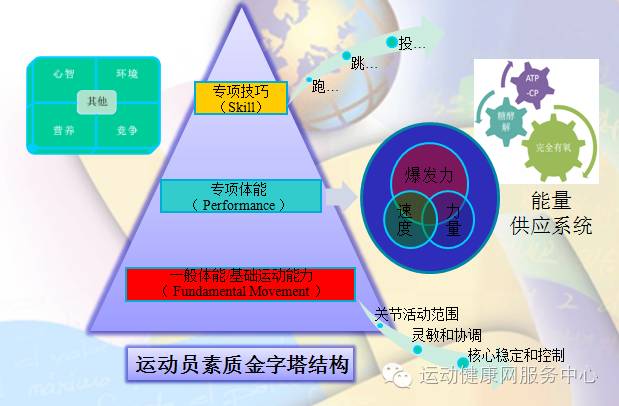 如何提高人体的柔韧性？