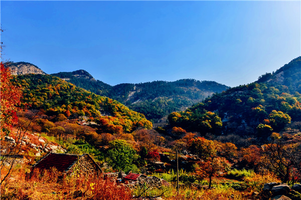 临沂大洼风景区图片