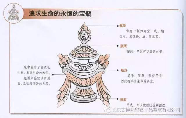 法器肉莲的用处 藏密图片