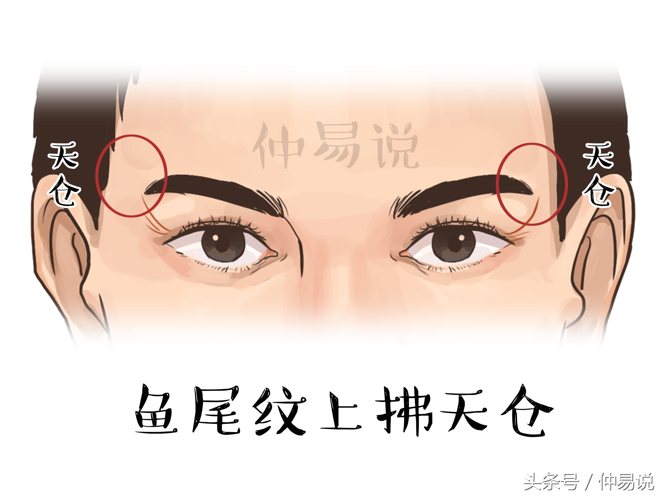 女人鱼尾纹面相图解(女人眼角鱼尾纹面相图片)-情感知识库-donow知识