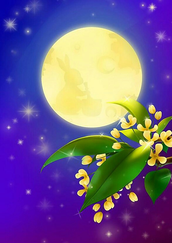 「诗词赏析」海上生明月,天涯共此时