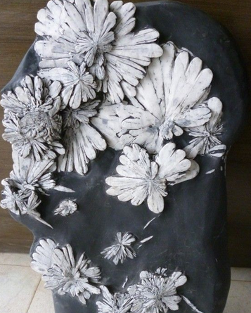 菊花石是怎么形成的_菊花石原石