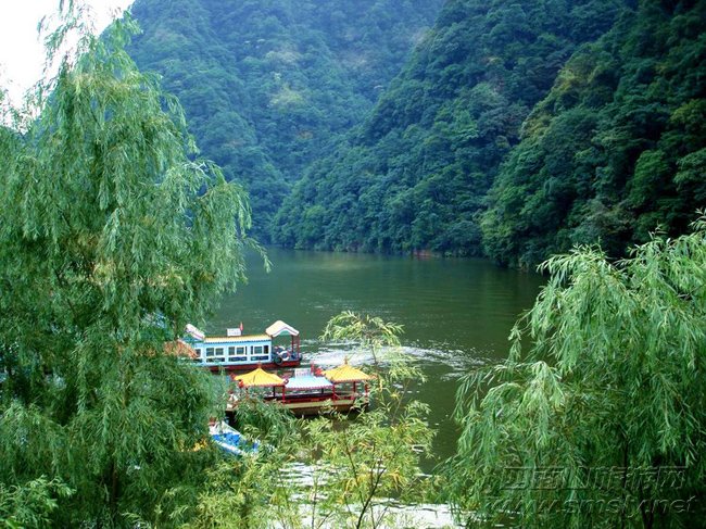 四面山：中国最美的十大森林公园 纯天然的物种基因库
