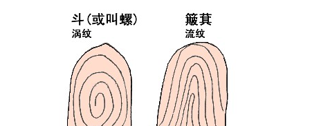 以前奶奶说，手上有几个这种螺纹路，肯定一辈子命好都不愁吃穿