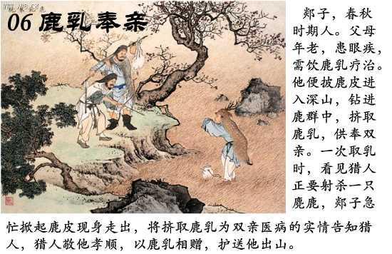 乌鸦反哺、羊羔跪乳和二十四孝的故事