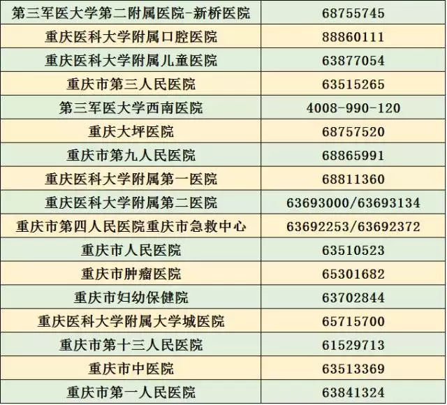 重庆违章查询,重庆违章查询官方网