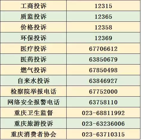 重庆违章查询,重庆违章查询官方网