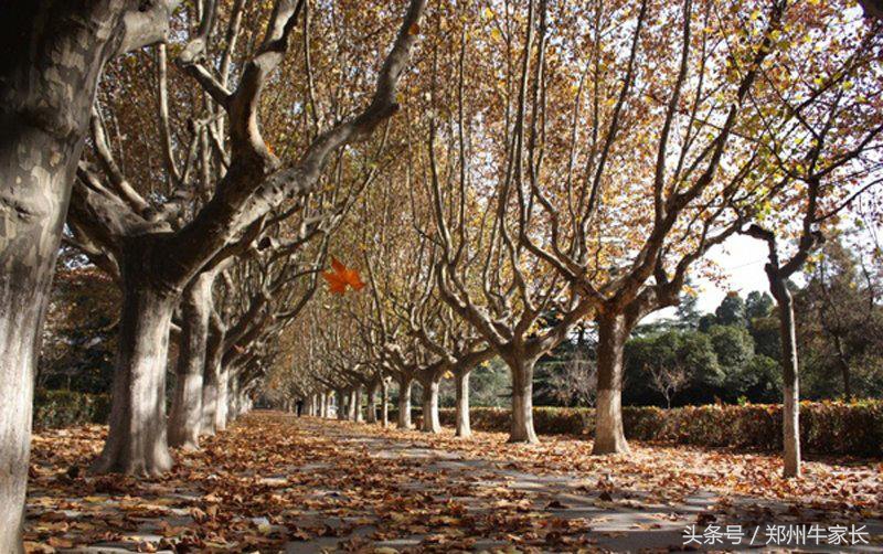 每天一所高校：西安交通大学