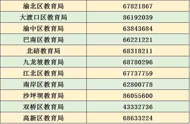 重庆违章查询,重庆违章查询官方网